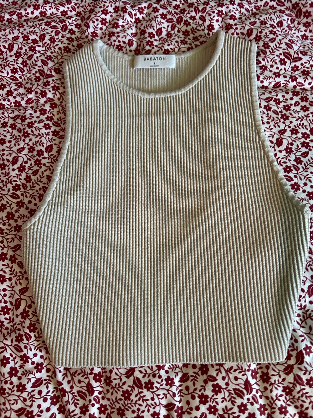 Aritzia crop top